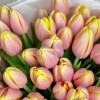 Персиковые тюльпаны, 35 шт 