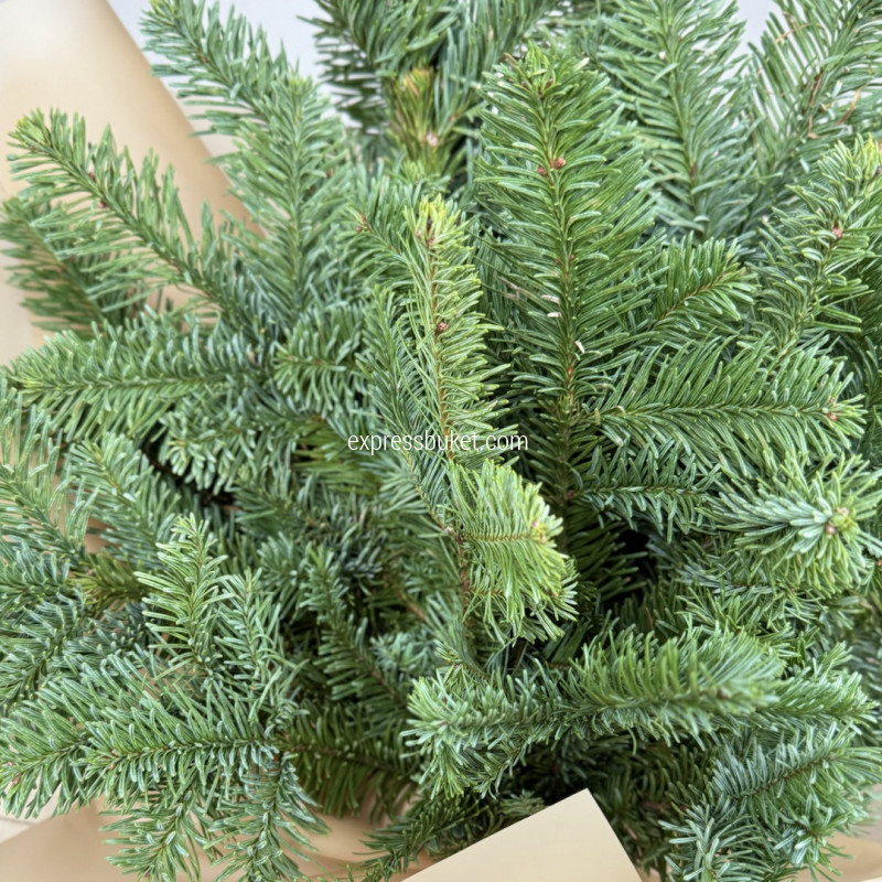 С новым годом!