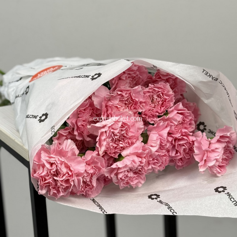 Розовые диантусы, 20шт