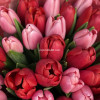 Микс розово-красных тюльпанов, 25 шт