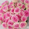 Букет из 11 розовых  кустовых роз